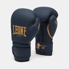 Боксерские перчатки Leone GN059