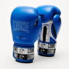 Боксерские перчатки Leone GN208 Iconic