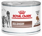 Влажный корм для взрослых собак Royal Canin Recovery Паштет