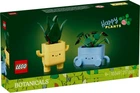 Конструктор Lego Botanicals Щасливі рослини 10349