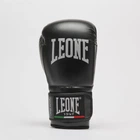 Боксерские перчатки Leone GN383 Thunder