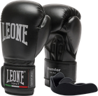 Боксерские перчатки Leone GN383 Thunder
