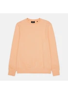 Свитшот на флисе C&A XL Оранжевый 2181484_оранж_02