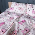 Комплект постельного белья Mirson Евро 200х220 см 17-0776 Magic cats pink Бязь (2200011238234)