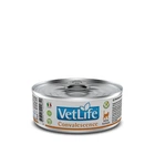 Влажный корм для кошек Farmina Vet Life Convalescence 85 г