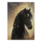 Дневник школьный ZiBi Horses В5 48 листов твердая обложка с поролоном (ZB.13817)