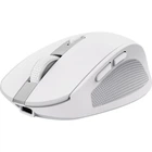 Мышка Trust Ozza compact Bluetooth/Wireless/USB-A White (24933)