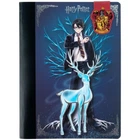 Блокнот з магнітною закладкою, А5, 60 арк., кл., HP HP25-192