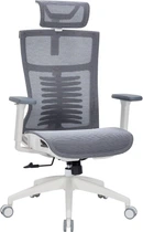 Офисное кресло OfficePro Balance OC620-W-DG-DG (OC620-W-DG-DG)