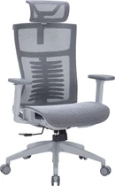 Офісне крісло OfficePro Balance OC620-G-DG-DG (OC620-G-DG-DG)
