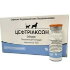 Цефтріаксон порошок для розчину для ін'єкцій по 1 г у флак.