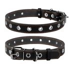 Ошейник для собак Collar универсальный (безразмерный), черный, кожаный - ширина 25 мм, длина 60 см