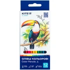 Олівці кольорові тригранні Kite Classic 12 кольорів (K-053)
