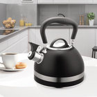 Чайник нержавеющий Maestro 1.8л черный (MR-1336-BLACK)