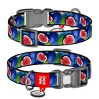 Нашийник WAUDOG Nylon з QR адресником, пластикова пряжка-фастекс "Інжир" L (4823089375809)