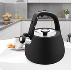 Чайник нержавеющий Maestro 2.5л черный (MR-1318-BLACK) черный