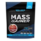 Гейнер Willmax Mass Gainer