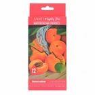 Карандаши акварельные Santi 12шт (742383)