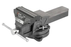 Лещата поворотні Intertool 150 мм x 10.05 кг (HT-0083)