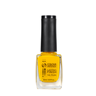 Лак для нігтів Colour Intense 10 мл NP-303, 250 Жовтий, 250 Жовтий