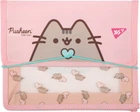 Папка для зошитів Yes Pusheen пластикова на гумці В5 (492306)