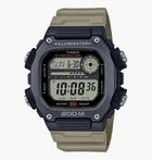 Часы Casio Timeless Collection DW-291HX-5A MISC