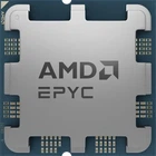 Процессор AMD EPYC 4244P (100-000001480)