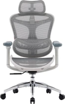 Крісло офісне SIHOO DORO C300L Mesh White (DORO-C300L-A3-102)