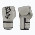 Боксерські рукавиці Fairtex BGV14