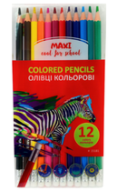 Олівці кольорові 12кол. MAXI MX15181 ERASABLE, пластикові з резинкою (пласт.уп.) /MX15181/