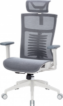 Крісло офісне Officepro Balance oc620-w-dg-dg