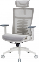 Крісло офісне Officepro Balance oc620-w-lg-lg
