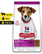 Сухой корм для щенков Hill's Science Plan Puppy Small&Mini с ягненком и рисом