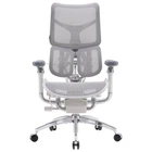 Крісло офісне Sihoo DORO S300 Mesh Light Grey