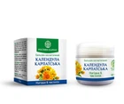 Бальзам Календула карпатська Рослина Карпат 0052