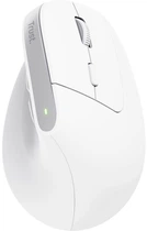 Trust Миша Trust Bayo+ Multidevice Ergonomic, BT/WL/USB-A, біла