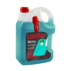 Омыватель стекла зимний Lesta Winter Screen Wash -25 °С 4 л