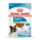 Упаковка полнорационный влажный корм для собак Royal Canin Puppy X-Small