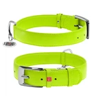 Кожаный ошейник для собак WAUDOG Glamour с QR паспортом без украшений XL Ш 35 мм 46-60 см Green (33225)