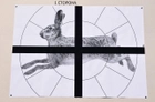 Мишень Сателит "Заяц+Крест" А1 10 листов (303) - изображение 1
