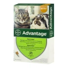 Капли от блох Advantage для котов до 4 кг 4 пипетки защита на месяц