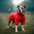 Дождевик для собак WAUDOG Clothes L50 красный, водонепроницаемый, длина 47–50 см, шея 47–50 см, грудь 70–74 см, арт. 19903