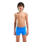 Плавки-шорты для мальчиков Arena LOGO SWIM SHORT Голубой 164 см (010349-508 164)