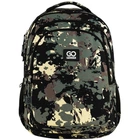 Рюкзак школьный GoPack Teens GO25-162L-6