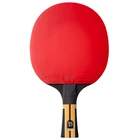 Ракетка для настільного тенісу Butterfly Timo Boll Force FL (6110300002)
