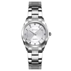 Наручний годинник Skmei 1620SISI Silver-Silver