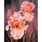 Картина за номерами "Рожеві іриси" Art Craft 40х50 см 13140-AC