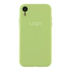 Чохол Silicone Case Full Size with Frame для iPhone Xr Колір 01.Mint