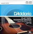 Струни для акустичної гітари 6 шт D'Addario EFT16 12/53