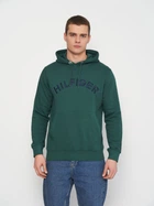 Худи мужское Tommy Hilfiger 11264.2 M (46) Зеленое (2000000005225)